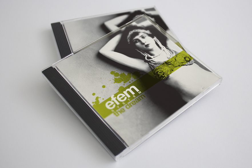 EFEM SYSTEM